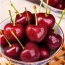 Cherry (anh đào) nhập khẩu, tươi ngon